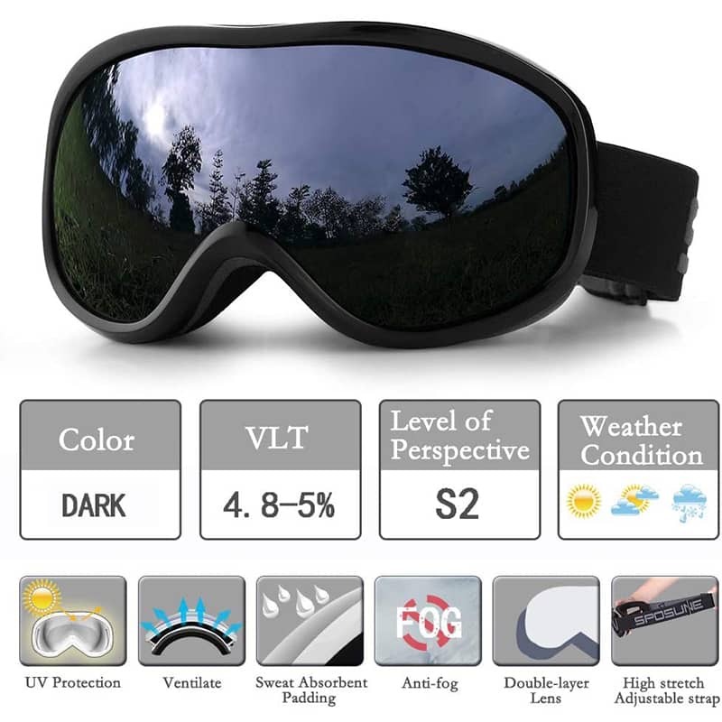 Ski Goggles