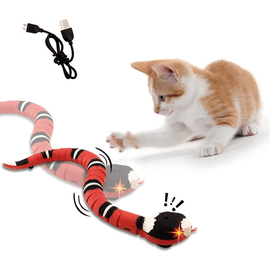 Slinky Moving Snake Cat Toy